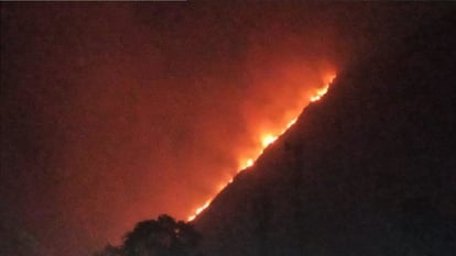 देहरादून: प्रदेशभर में 12 घंटे में 16 स्थानों पर लगी आग, अब तक 206 हेक्टेयर जंगल जला